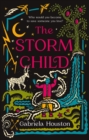 The Storm Child - eBook