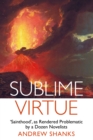 Sublime Virtue : 'Sainthood’ as Rendered Problematic by a Dozen Novelists - Book