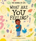 What Are You Feeling? : A picture book of your emotions - Book