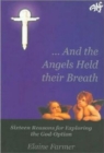 And the Angels Held their Breath : Sixteen Reasons for Exploring the God-Option - Book