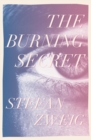 The Burning Secret - eBook