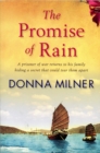 The Promise of Rain : A Prisioner of War Returns to His Family Hiding a Secret That Could Tear Them Apart - Book