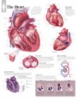 Heart Laminated Poster - Book