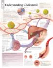 Understanding Cholesterol Paper Poster - Book