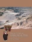 Excavations at Cerro Azul, Peru : The Architecture and Pottery - Book