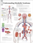 Understanding Metabolic Syndrome Laminated Poster - Book