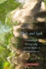 Hide and Seek : Camouflage, Photography, and the Media of Reconnaissance - Book