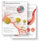 Understanding Cholesterol Study Set Replacement Pads : Patient Education Study Sets - Book