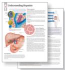 Understanding Hepatitis Study Set Replacement Pads : Patient Education Study Sets - Book