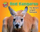 Red Kangaroo - eBook