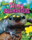Slimy Salamanders - eBook