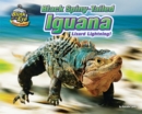 Black Spiny-Tailed Iguana - eBook