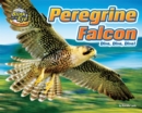 Peregrine Falcon - eBook