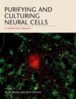 Purifying and Culturing Neural Cells : A Laboratory Manual - Book