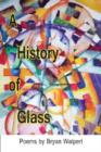 A History of Glass - Book