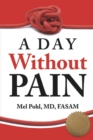A Day without Pain - eBook