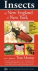 Insects of New England & New York - Book