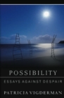 Possibility : Essays Against Despair - Book