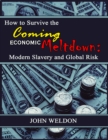 How to Survive the Coming Economic Meltdown - eBook