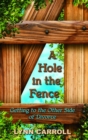 A Hole in the Fence : Getting to the Other Side of Divorce - eBook