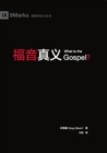 ???? (What Is the Gospel?) (Chinese) - eBook
