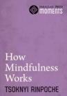 How Mindfulness Works - eBook