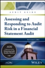 Audit Guide : Assessing & Responding To Audit Risk In a Financial Statement Audit - Book
