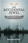 An Accidental Jewel - eBook