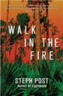 Walk In The Fire - eBook