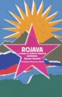 Rojava : A Novel of Kurdish Freedom - eBook