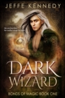 Dark Wizard - eBook
