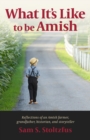 What It's Like to Be Amish - Book
