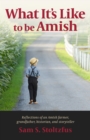 What It's Like to Be Amish - eBook