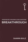 Breakthrough : Prophecies, Prayers & Declarations - eBook