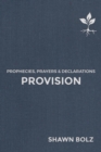 Provision - eBook