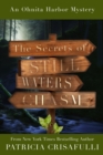 The Secrets of Still Waters Chasm : Book 2 - Ohnita Harbor Mystery Series - eBook