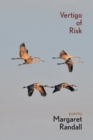 Vertigo of Risk - eBook