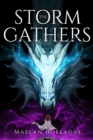 The Storm Gathers - Book