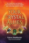 Your Crystal Allies : The 12 Best Gems & Minerals for Giving Love, Receiving Comfort & Connecting with the Cosmos - Book