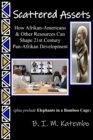 Scattered Assets : How Afrikan-Americans & Other Resources Can Shape 21st Century Pan-Afrikan Empowerment - eBook