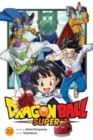 Dragon Ball Super, Vol. 22 - Book