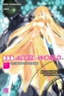 Accel World, Vol. 15 (light novel) - Book