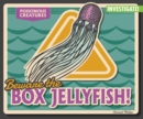 Beware the Box Jellyfish! - eBook