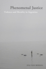 Phenomenal Justice : Violence and Morality in Argentina - Book