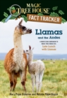 Llamas and the Andes - eBook