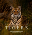 Remembering Tigers - Book