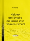 Histoire de l'Empire de Russie sous Pierre le Grand - eBook