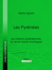 Les Pyrenees - eBook