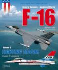 F-16 Volume 1: Fighting Falcon a + B - Book