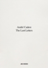 The Last Letters (Letters About a Work) : Letters about a Work - Book